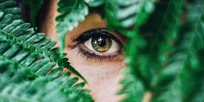 Vision und Übungen, um sie wiederherzustellen